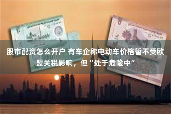 股市配资怎么开户 有车企称电动车价格暂不受欧盟关税影响，但“处于危险中”