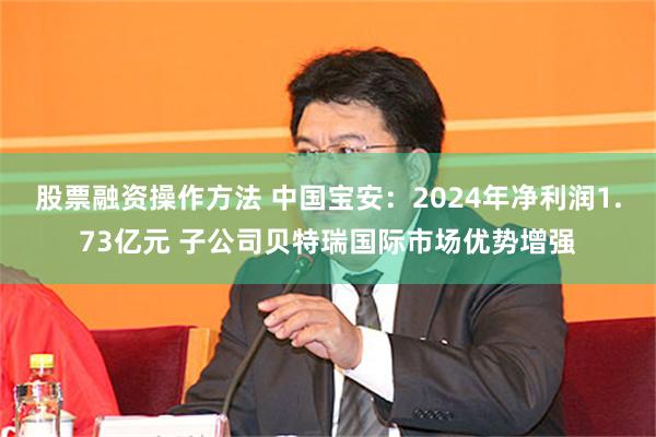 股票融资操作方法 中国宝安：2024年净利润1.73亿元 子公司贝特瑞国际市场优势增强