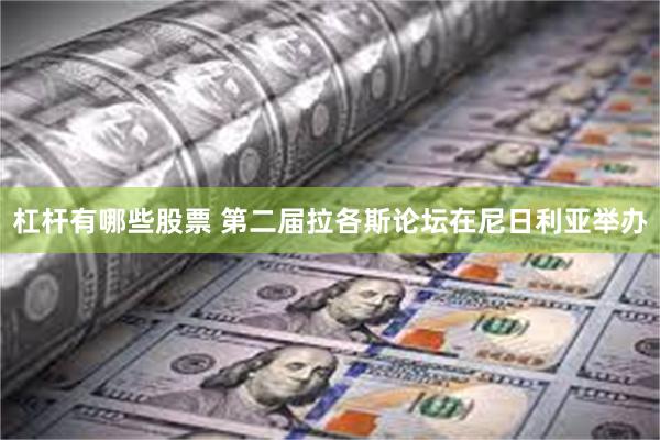 杠杆有哪些股票 第二届拉各斯论坛在尼日利亚举办