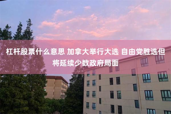 杠杆股票什么意思 加拿大举行大选 自由党胜选但将延续少数政府局面
