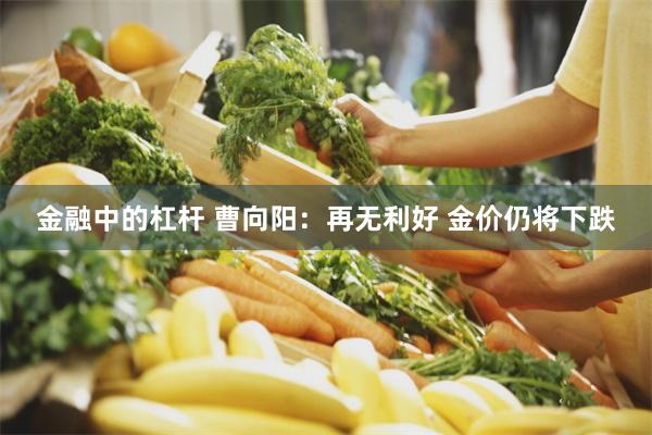 金融中的杠杆 曹向阳：再无利好 金价仍将下跌
