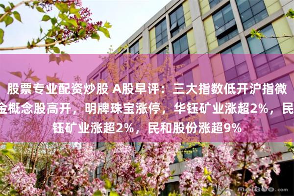 股票专业配资炒股 A股早评：三大指数低开沪指微跌0.02%，黄金概念股高开，明牌珠宝涨停，华钰矿业涨超2%，民和股份涨超9%