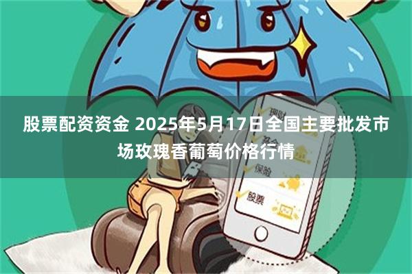 股票配资资金 2025年5月17日全国主要批发市场玫瑰香葡萄价格行情