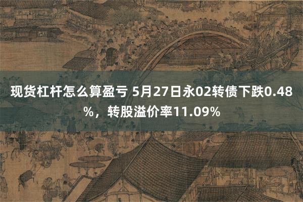 现货杠杆怎么算盈亏 5月27日永02转债下跌0.48%，转股溢价率11.09%