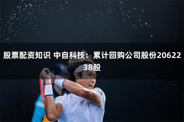 股票配资知识 中自科技：累计回购公司股份2062238股