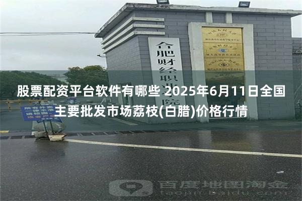 股票配资平台软件有哪些 2025年6月11日全国主要批发市场荔枝(白腊)价格行情