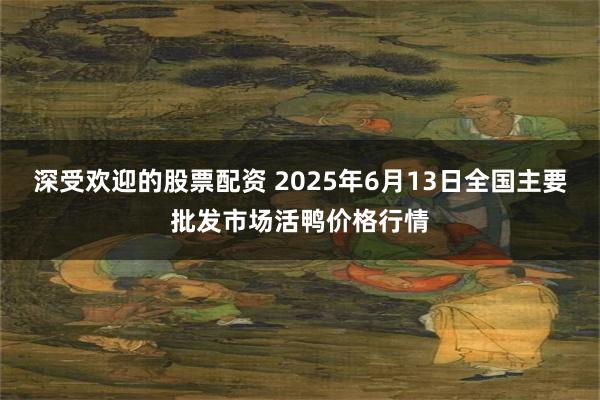 深受欢迎的股票配资 2025年6月13日全国主要批发市场活鸭价格行情