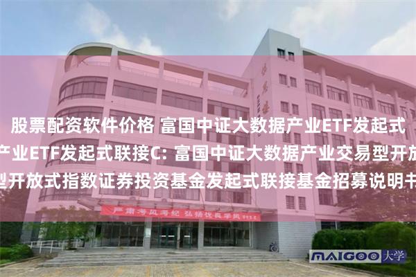 股票配资软件价格 富国中证大数据产业ETF发起式联接A,富国中证大数据产业ETF发起式联接C: 富国中证大数据产业交易型开放式指数证券投资基金发起式联接基金招募说明书(更新)(二0二五年第二号)