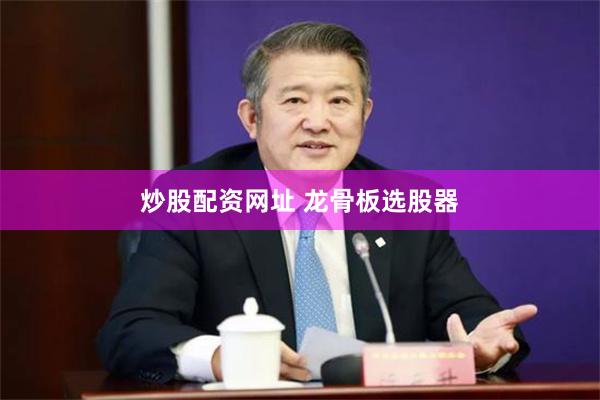 炒股配资网址 龙骨板选股器