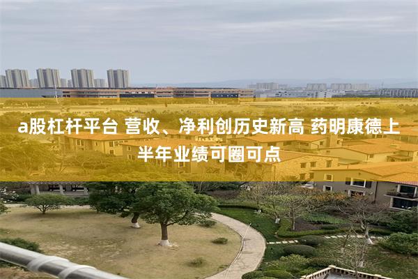 a股杠杆平台 营收、净利创历史新高 药明康德上半年业绩可圈可点