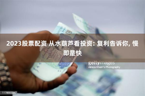 2023股票配资 从水葫芦看投资: 复利告诉你, 慢即是快