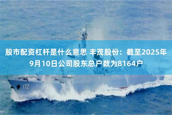 股市配资杠杆是什么意思 丰茂股份：截至2025年9月10日公司股东总户数为8164户
