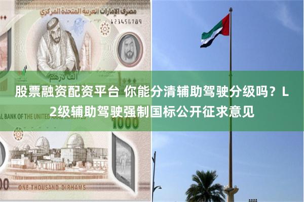股票融资配资平台 你能分清辅助驾驶分级吗？L2级辅助驾驶强制国标公开征求意见